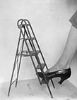 Ladder and shoe