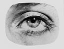 Eye of Lee Miller